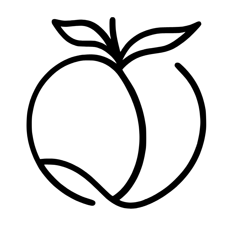 Piexo logo